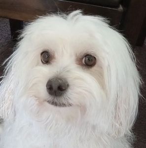 Meet your Posher, Margarita